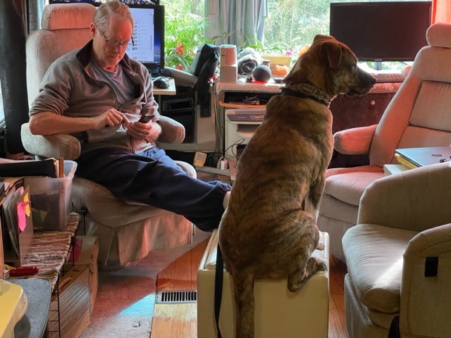 Man sits in front seat of RV, looking at his phone. Computer monitors on the dash and dog on an ottoman.